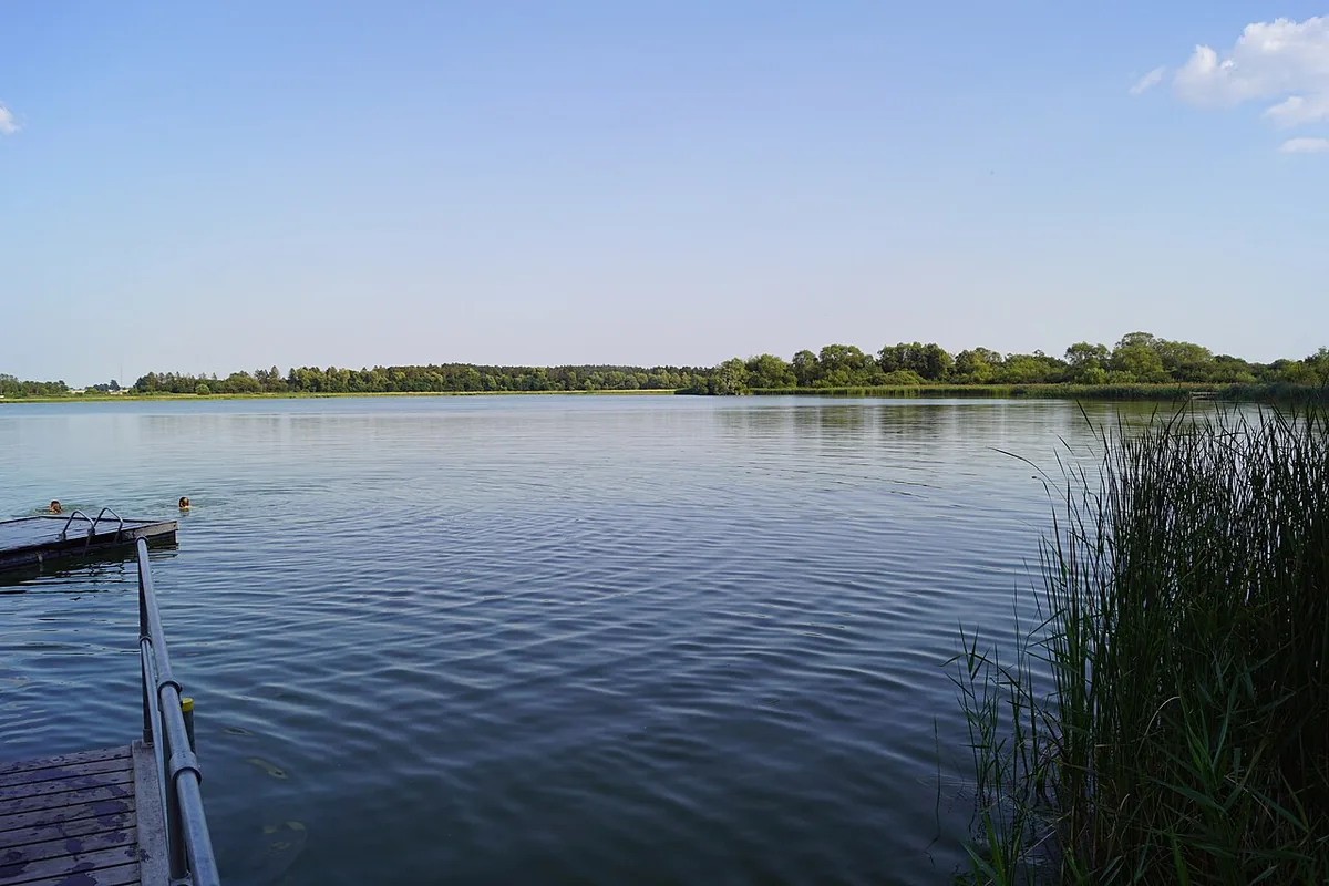 Haraldsted Sø bei Ringsted mit Schilf und Steg